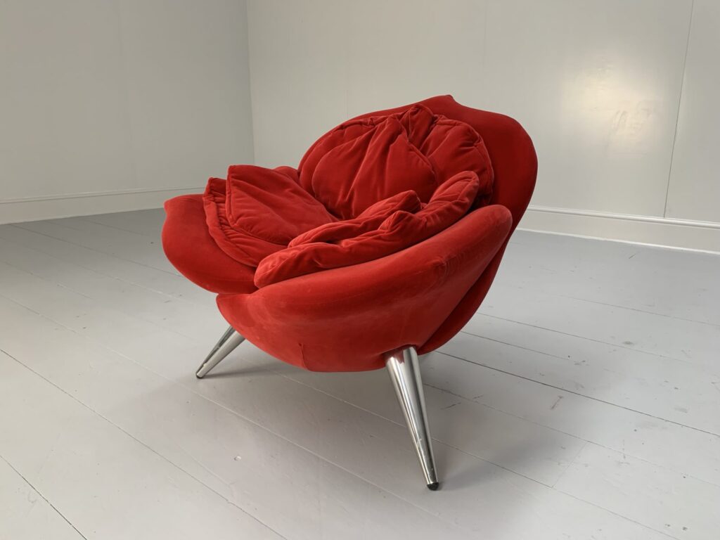 red velvet rose stoel van Edra noctum Rotterdam